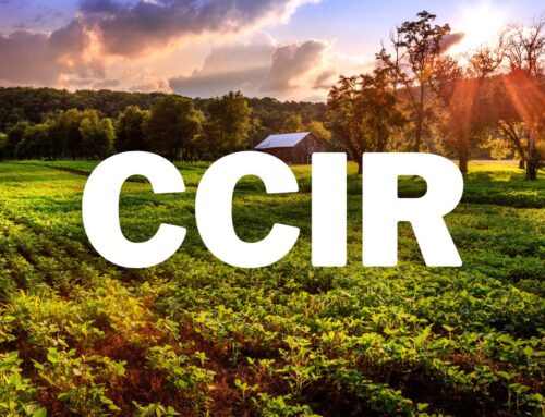O Que é o Certificado de Cadastro de Imóvel Rural (CCIR) e Como a Topografia Ajuda?