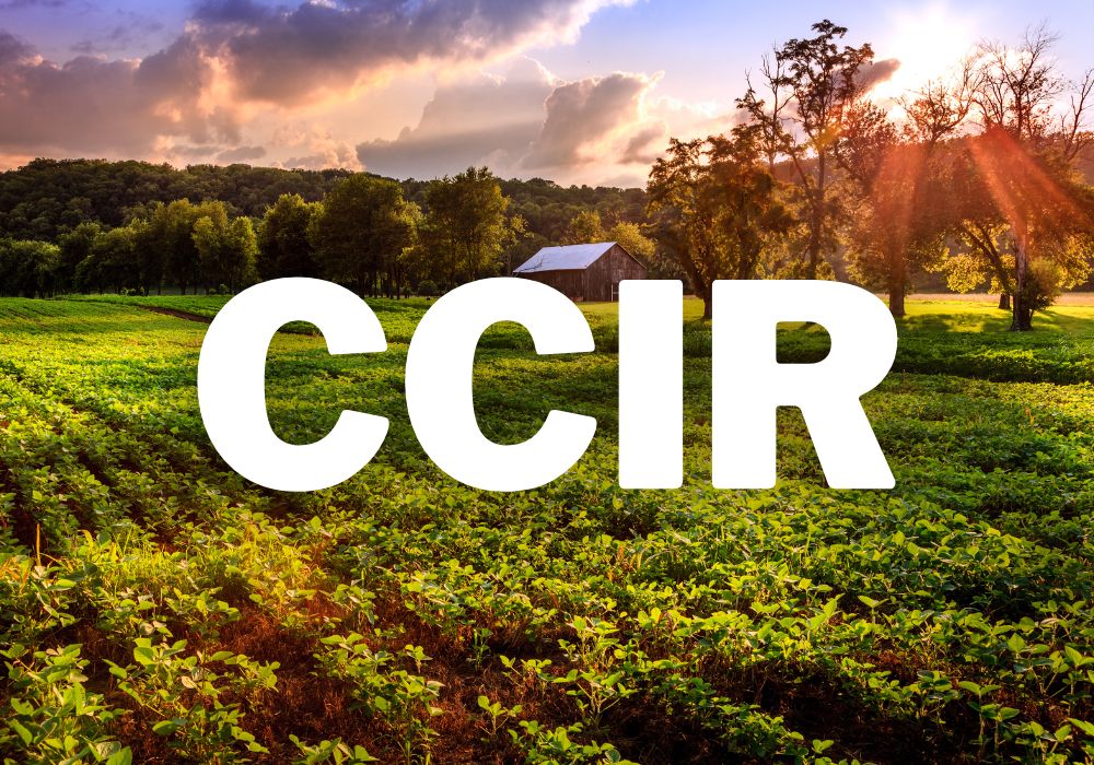 O Que é o Certificado de Cadastro de Imóvel Rural (CCIR) e Como a Topografia Ajuda?