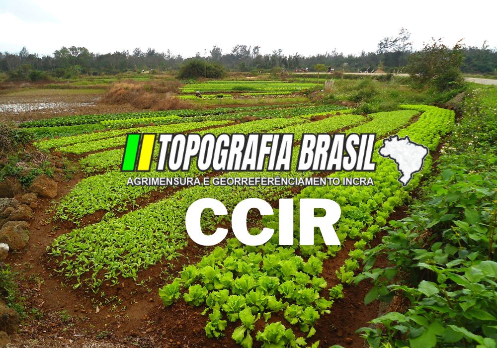 Como a Topografia Brasil Pode Ajudar